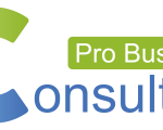 Consulting Pro Business