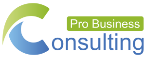 Consulting Pro Business